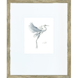 KS- GREY HERON STUDY 1